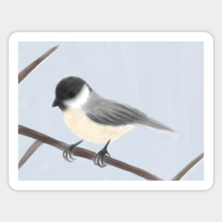[WALL ART] Black-capped Chickadee watercolor style digital painting Sticker